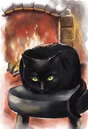 black cat, fireside