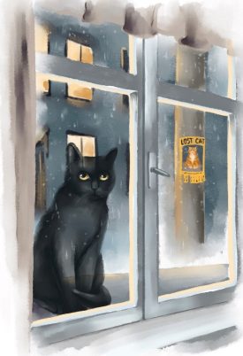 Cat sitting on windowsill
